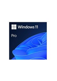 Resim MS WINDOWS 11 PRO 32/64 BIT TR KUTU USB HAV-00159 