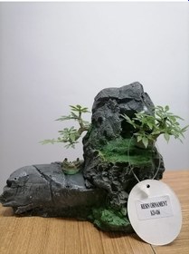 Resim Fatihpet Akvaryum Dağ Dekoru 17 x 13 x 9 CM 