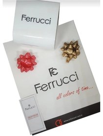 Resim Ferrucci Fc8013 Çelik Fonksiyonları Aktif Silver Erkek Kol Saat 