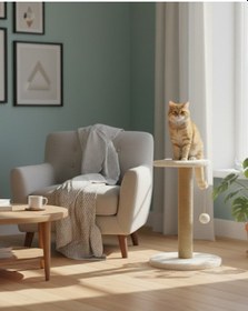 Resim Reyo Pet Stepli Kedi Tırmalama Tahtası Beyaz 