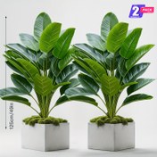 Resim 2 Adet 125cm Ekstra Uzun Yapay Muz Ağacı (Her Biri 36 Gerçekçi Yaprak) - Parlak Yeşil Yapraklı Ultra Gerçekçi Tropikal Bitkiler, Bakım Gerektirmeyen İç/Dış Mekan Dekoru - Ev, Düğün, Ofis, Parti için İdeal - Dayanıklı Plastik Yapı, Yosun Tabanlı, Dolu Yaprak Tasarımı - Yeni Eve Taşınma/Doğumgünü/Cadılar Bayramı/Hediye için Mükemmel 