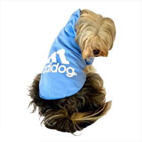 Resim Bebek Mavisi Duo Adidog Kapşonlu Köpek Sweatshirt Köpek Kazağı 