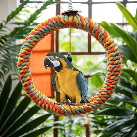 Resim Renkli Paslanmaz Çelik Kuş Kafesi ile Canlı Halatlar - Dayanıklı Kafes Abundant Aksesuarlar ile, Pusular ve Diğer Kuşlar için Uygun, Kuş Kafesi Dekorasyonu, saç tokası Bakımı ve Zihinsel Stimulation için Çok Renkli Halatlar - Kuş Severler için İdeal Hediye 
