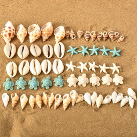 Resim 65 Parça Plaj Esintili Cazibe Seti: Çeşitli Doğal Kabuk, Deniz Kabuğu, Denizyıldızı & Kaplumbağa Kolye Uçları - Kendin Yap Takı Yapımı, Bilezikler, Kolyeler, Küpeler, Ayak Bilezikleri & Bel Zincirleri İçin Mükemmel - Renkli Okyanus Temalı Aksesuarlar, Plaj Takıları 
