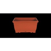 Resim Eli̇f 2 No Balkon Saksi KOD:427 24 !!!!!!!!!! 