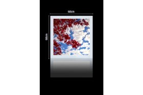 Resim 1X1-TEKLI-60X60-TAVANA Yapışık LED PANEL-54W-SIVA Üstü-Kolay Montaj-Kırmızı Ağaçlı- LED 
