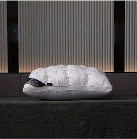 Resim Trendooze 2025 Kalın Yastık 19x29 İnç Yatak Kalitesi Yumuşak Polyester Ev Ve Kamp Seviyesi Yastık 