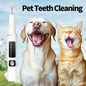 Resim Bir Pet Kedi ve Köpek Elektrikli Diş Temizleme Kiti, USB Şarj Edilebilir Leke/Tartar Giderici, 4 Temizleme Başlığı ve 5 Mod ile Birlikte Gelir, Hem Kediler hem de Köpekler için Uygun. 