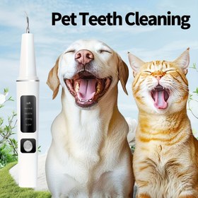Resim Bir Pet Kedi ve Köpek Elektrikli Diş Temizleme Kiti, USB Şarj Edilebilir Leke/Tartar Giderici, 4 Temizleme Başlığı ve 5 Mod ile Birlikte Gelir, Hem Kediler hem de Köpekler için Uygun. 