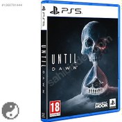 Resim Until Dawn Ps5 Oyun 