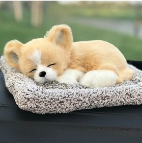 Resim Honeybeeshop 1 Adet Koku Giderici Köpek Aksesuarı Corgi Yastık Araç İçin Bambu Kömürlü Golden Hair Husky 