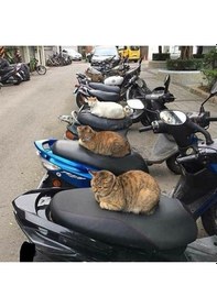 Resim Spacy Activa Vespa Küçük Model Scooter Motosiklet Sele Kılıfı 