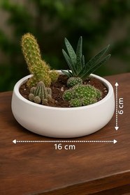 Resim Lümin Modern Beyaz Dekoratif Kase - El Yapımı Minimalist Tasarım 