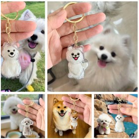 Resim 5 Stil Şeffaf Köpek Saç Depolama Kutuları - Sevimli Shiba Inu, Pomeranian, Samoyed, West Highland, Teddy Tasarımları, Evcil Hayvan Tüyü ve Klips Depolama, Köpek Hatıraları, Hafif Kaplar, Duygusal Hediyeler, Hayvan Desenleri, Parlatılmış Yüzeyler 