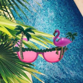 Resim Parti Gözlükleri Lüx Flamingo Modelli Eğlenceli Ve Şık Parti Aksesuarı Diğer 