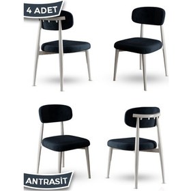 Resim Canisa Laos Serisi 4 Adet Antrasit Mutfak Sandalyesi Beyaz Metal İskeletli 1. Sınıf Babyface Kumaş Antrasit Sandalye Ayaklar Beyaz 
