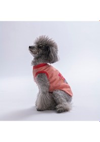 Resim Pink-pembe All Good Days Kedi Köpek Tişörtü-kedi Köpek Kıyafeti 