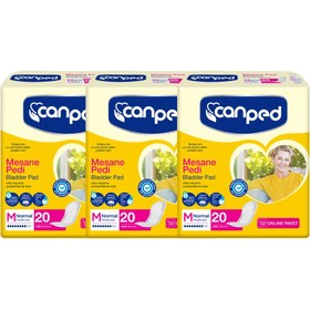 Resim Canped Mesane Pedi Normal 20'li x3 