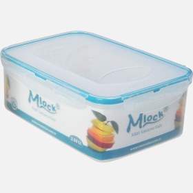 Resim Moonstar Mlock 2,5 lt Saklama Kabı 