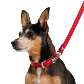 Resim Poco Black Leather Dog Leash - Kırmızı / Gümüş 