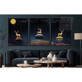 Resim Alüminyum Çerçeveli Gerçek Cama Baskı Sanat Temalı 3'lü Set Cam Tablo 0065 