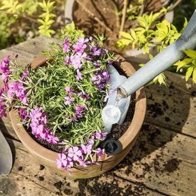 Resim Plantpal Otomatik, Su Sebili Sulama Yardımcısı, Sulama Sistemi, 550 Ml, 5 x 13,5 x 24 Cm, 07063, Şeffaf 