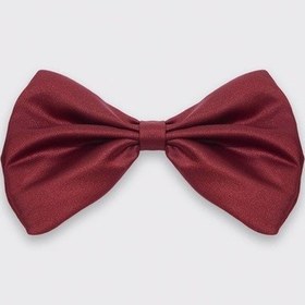 Resim Tudors Erkek Bordo Papyon-36834 Bordo 