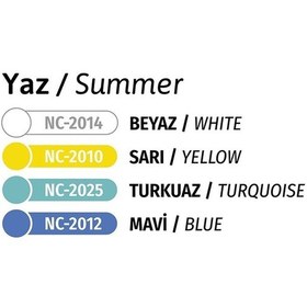 Resim Akrilik Pouring Seti Yaz Nc-2501 Karışık Çok Renkli 