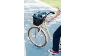 Resim Bisan Sorrento Şehir Bisikleti 44 cm V 26 Jant 3 Vites Krem Gold 