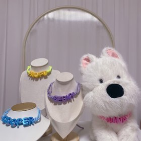 Resim Küçük, Orta ve Büyük Irklarda Evcil Hayvan Adınızla Kişileştirilmiş Parıltılı İnci Kaplama ile Ayarlanabilir Örgülü Askılı Evcil Hayvan Adı Kolye - Köpekler için 