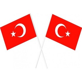Resim Çıtalı - Çubuklu Kağıt Türk Bayrağı - 100 Adet - 12.50 X 21Cm 