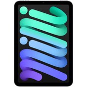 Resim Apple Ipad Mını Wıfı Cell Mk8f3tu/a 256gb Space Gray 