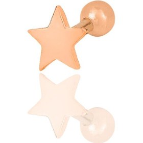 Resim Gümüş Rose Yıldız Modeli Tragus Helix Piercing Küpe Barcode Gümüş - Çok Renkli 