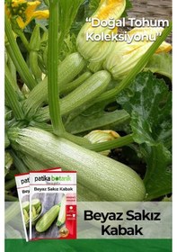 Resim 30 Adet Beyaz Sakız Kabak Tohumu 