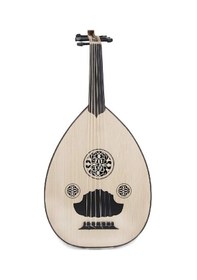 Resim Ceviz Ağacı Öğrenci Ud 