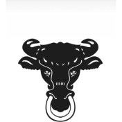 Resim Boğa Başı (Oto-Motor-Laptop-Duvar-Dekor) 10 x 9 cm 