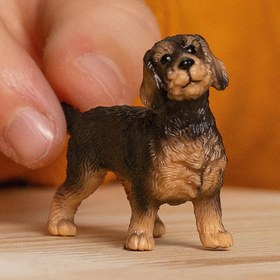 Resim Schleich Tel Tüylü Dachshund 13972 