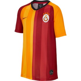 Resim Nike Galatasaray 2019-2020 Çocuk Forma 