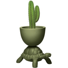 Resim Turtle Carry Yeşil Saksı/Şampanya Soğutucu 