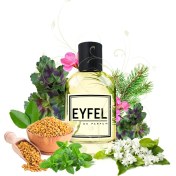 Resim Eyfel M14 Erkek Parfüm 
