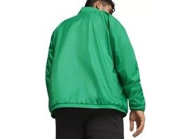 Resim Puma Teamgoal All Weather Jacket Erkek Futbol Antrenman Yağmurluk 65903805 Yeşil 