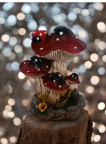 Resim Uğur Böcekli Mantar Tütsülük 