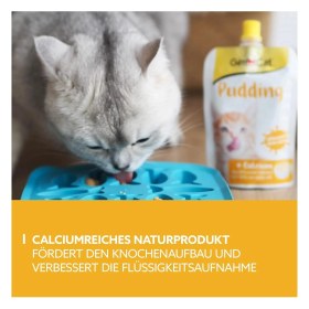Resim Gimcat Puding Kedi Ödülü 150 gr 
