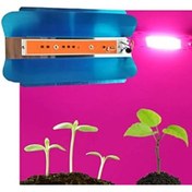 Resim Jobon Profisher Tam Spektrum 50w 220v Cob Led Chip Çanak Bitki Büyütme Işık 