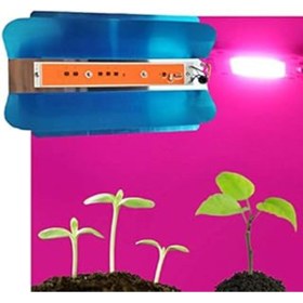 Resim Jobon Profisher Tam Spektrum 50w 220v Cob Led Chip Çanak Bitki Büyütme Işık 