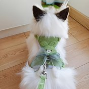 Resim 1.8m Uzunluklu Kedi Tasması ile Tasma - Sevimli Karikatür Tasarımı, Küçük Köpekler ve Kediler için Korkusuz Göğüs Yeleği, Ayarlanabilir Kayışlar, Dayanıklı Kumaş, Dış Mekan Yürüyüşleri için Mükemmel 