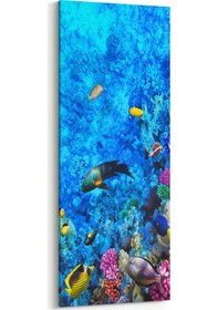 Resim Olla 60x180 Cm 12078dı Akvaryum / Balık Görseli Dikey İnce Kanvas Tablo 