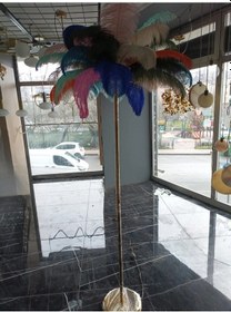 Resim Gökkuşağı Deve Kuşu Tüyü Lambader Altın 