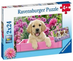 Resim Ravensburger 2x24 Parça Puzzle Friends 050291 