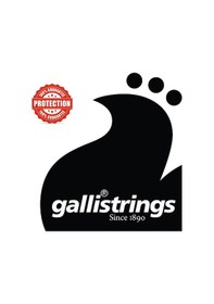 Resim Galli G216W Şeffaf Nylon Profesyonel Ukulele Teli-İtalyan Üretim 